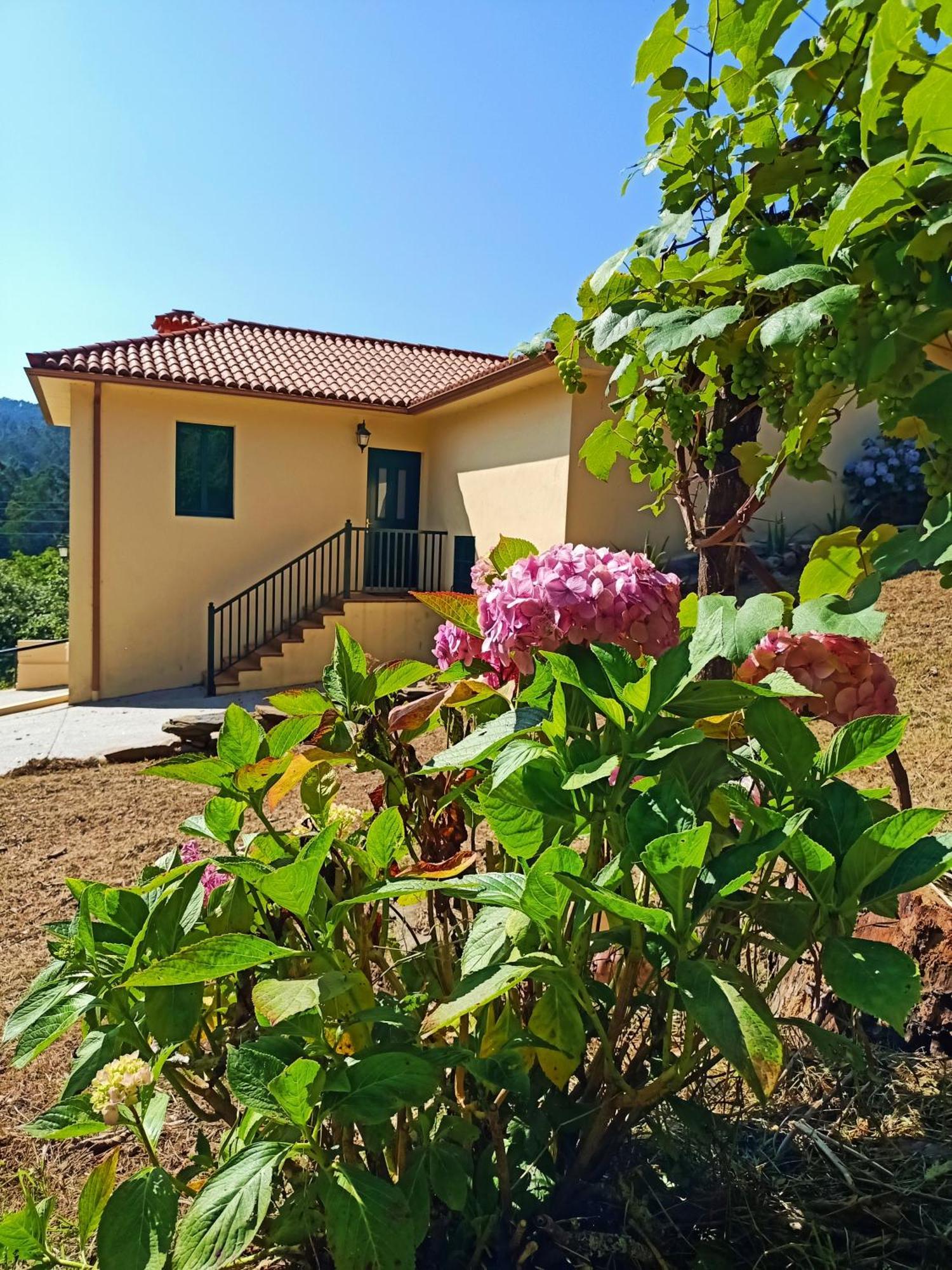 발도비노 A Casa Do Porto Cerca De Cedeira Y De La Playa De Pantin 빌라 외부 사진